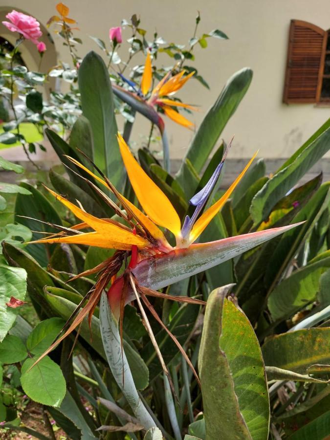 Casa Aconchegante - Circuito Teresopolis Friburgo Villa Luaran gambar